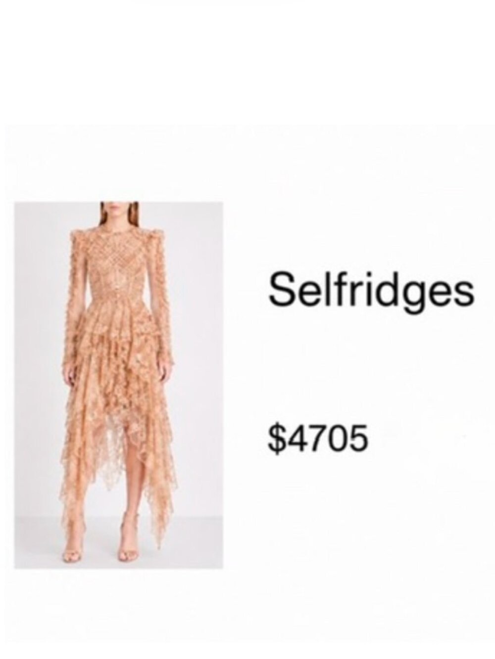 ZIMMERMANN Runway Bowerbird Romance Cotton-blend Dress In Dove Size S NEW - Picture 7 of 16